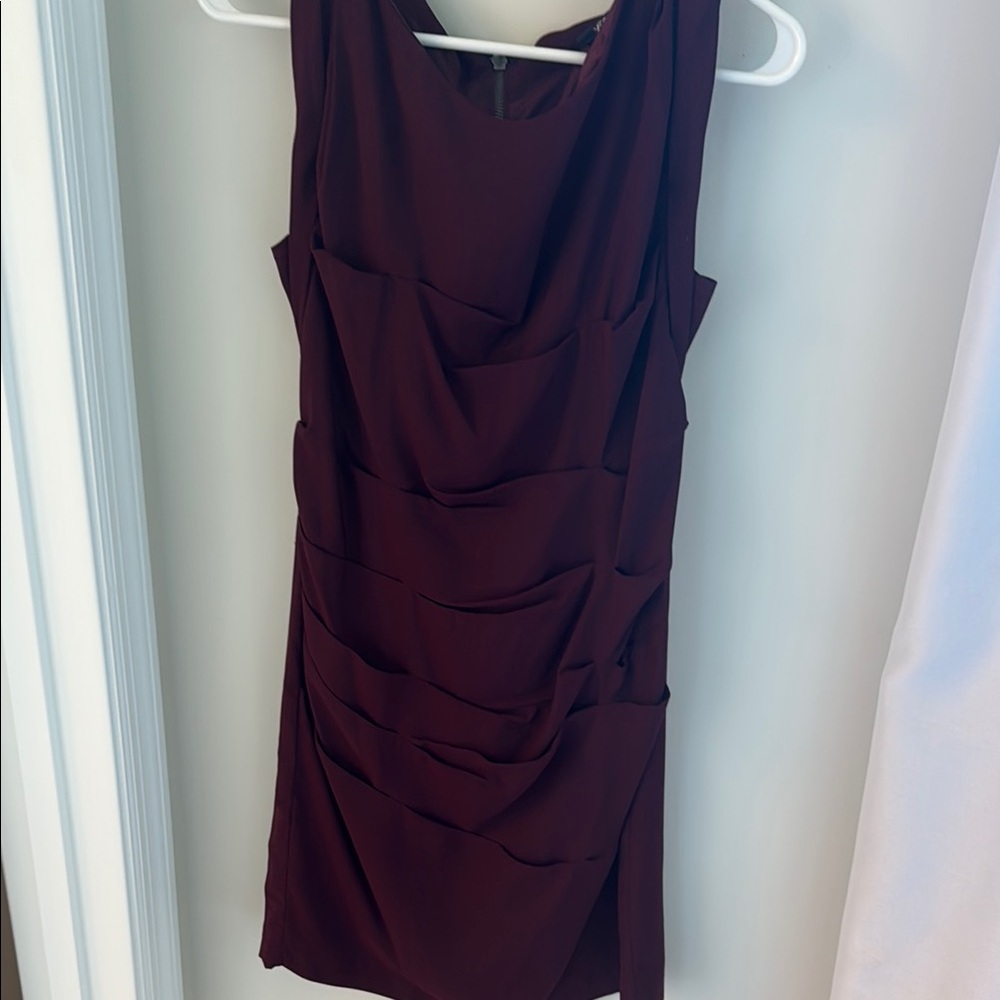 Express Deep Burgundy Mini Dress